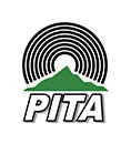 PITA